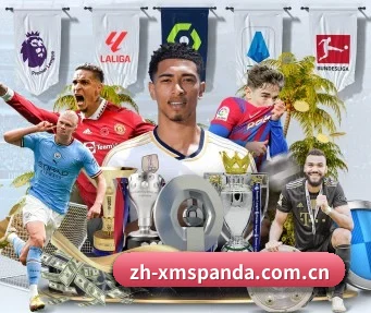 zh-xmspanda.com.cn APP 界面